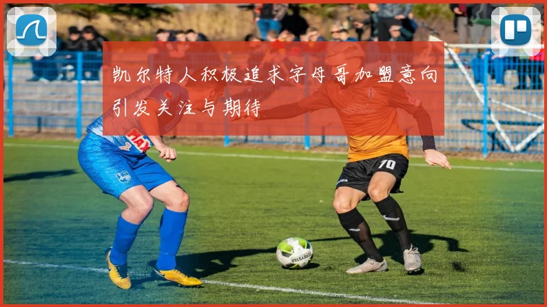 凯尔特人积极追求字母哥加盟意向引发关注与期待