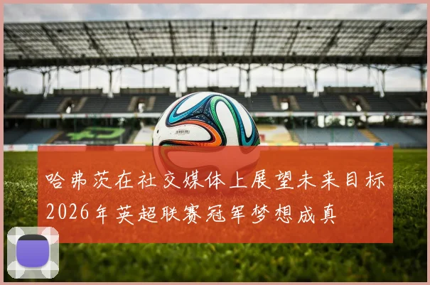 哈弗茨在社交媒体上展望未来目标2026年英超联赛冠军梦想成真