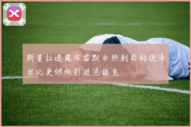 斯基拉透露布雷默非热刺目标德泽尔比更倾向引进范赫克